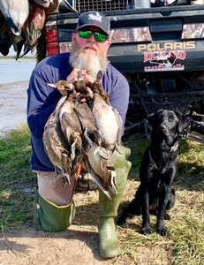 Duck Hunts